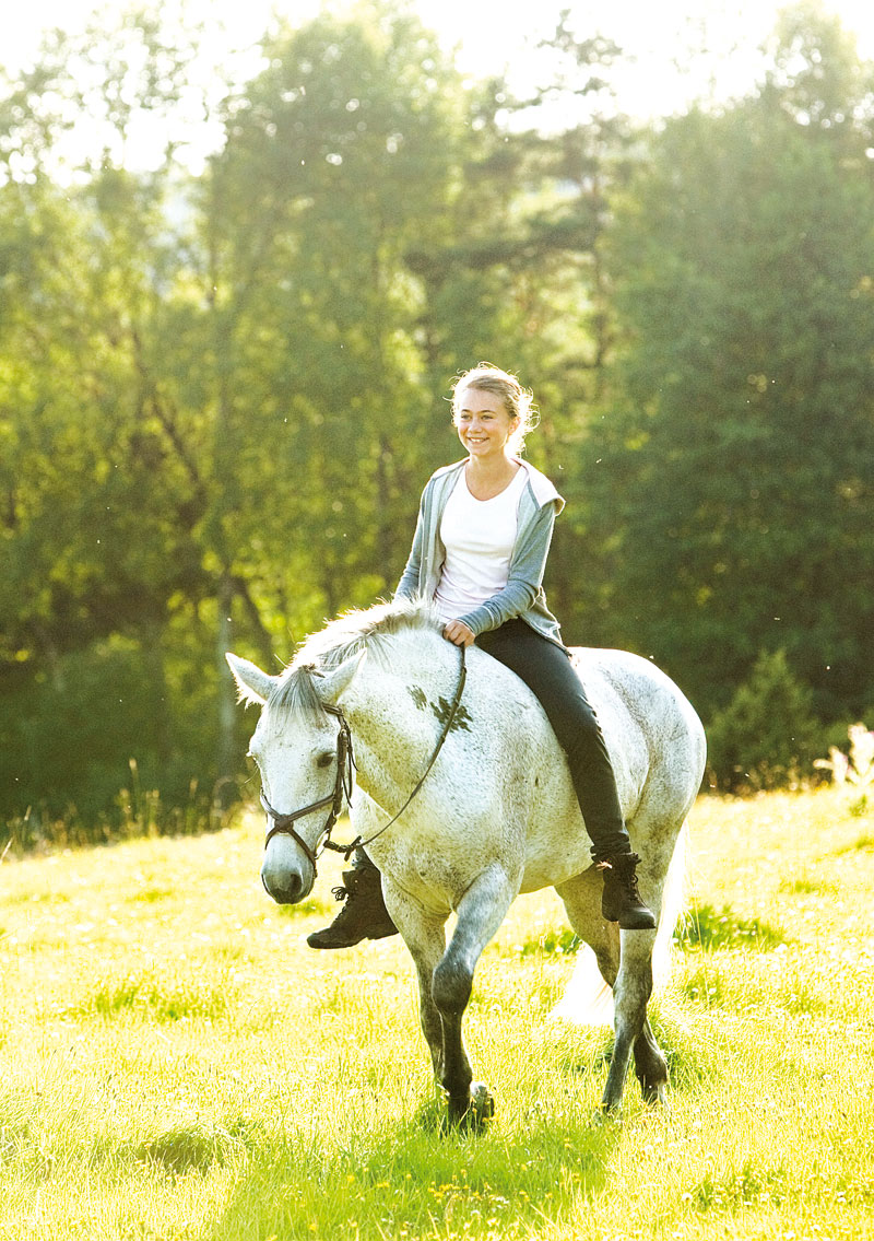 Ein Pferd Für Klara