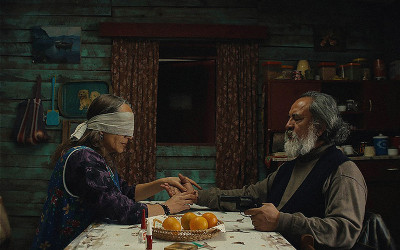 Der geheimnisvolle Blick des Flamingos (OmdU)